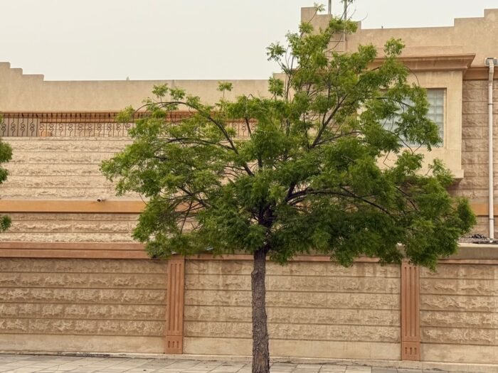 ⁦فيلا للبيع – حي القدس (658م – بتروكيميا K)⁩ - الصورة ⁦11⁩