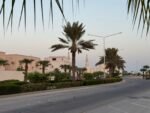 ⁦فيلا سابك تايب C دارين 600م²⁩ - الصورة ⁦12⁩