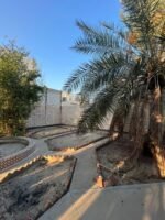 ⁦فيلا سافكو 820م تايب 3 بحي الفردوس – موقع مميز وقريبة للخدمات⁩ - الصورة ⁦6⁩