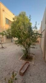 فيلا فاخرة بمساحة 530م² للبيع | الجبيل الصناعية – حي جلمودة 13
